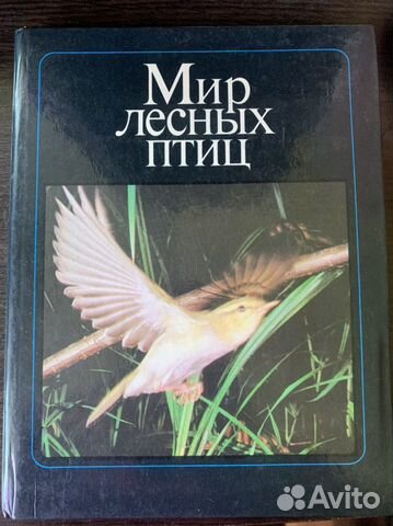 Книги о птицах