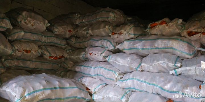 Морковь со склада 4т