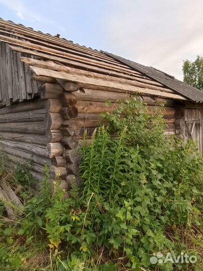 Сруб бани бу