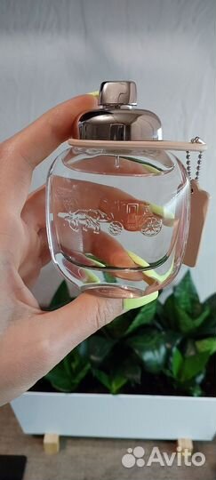 Туалетная вода Сoach Оригинал