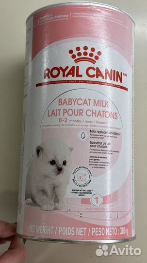 Смесь royal canin babycat milk