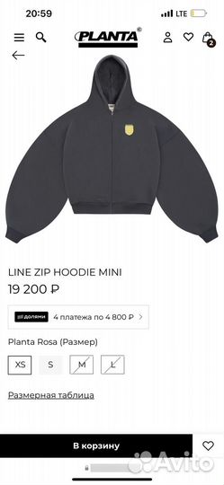 Planta rosa худи