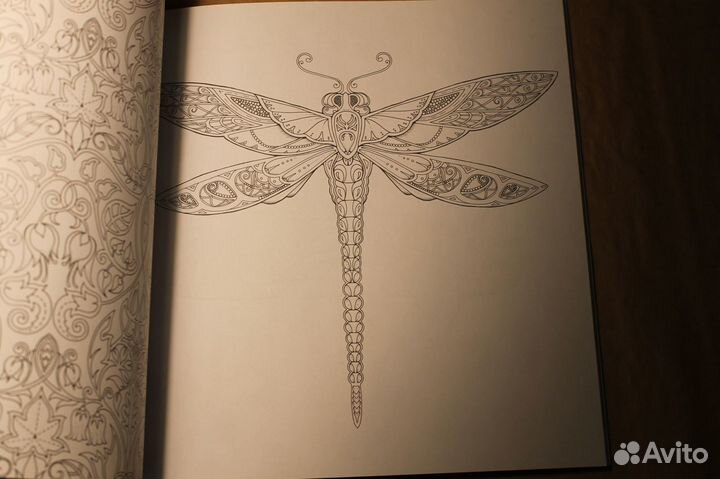 Зачарованный Лес. Джоанна Бэсфорд