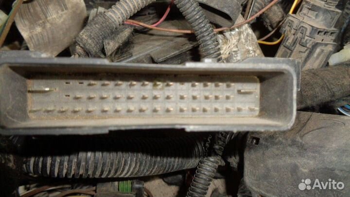 Проводка (коса) Opel Astra G