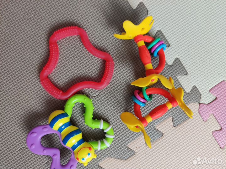 Грызунок pigeon