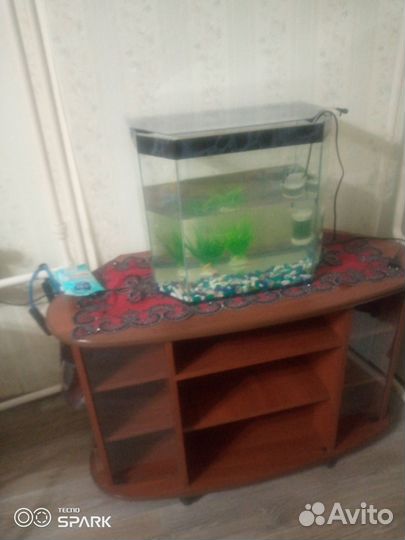 Аквариум