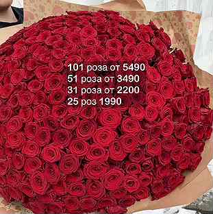 101 роза 31 51 роза Цветы