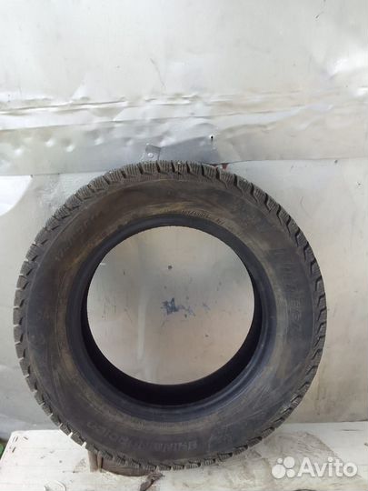 Viatti Brina Nordico V-522 175/65 R14