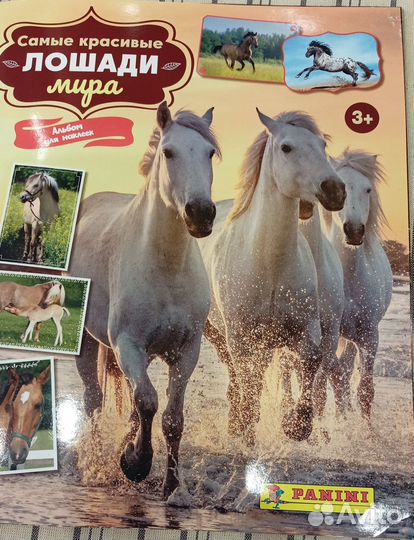 Наклейки Panini с лошадками (наклейки поштучно)