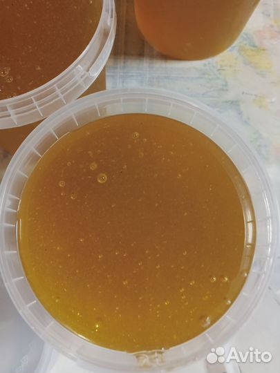 Свежий мёд август 2024