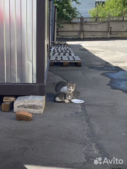 Малыши нуждаются в помощи