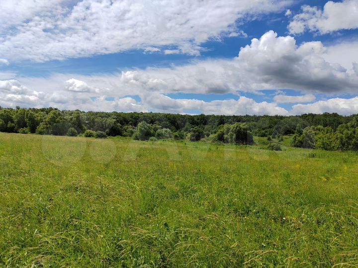 Участок 6 га (СНТ, ДНП)