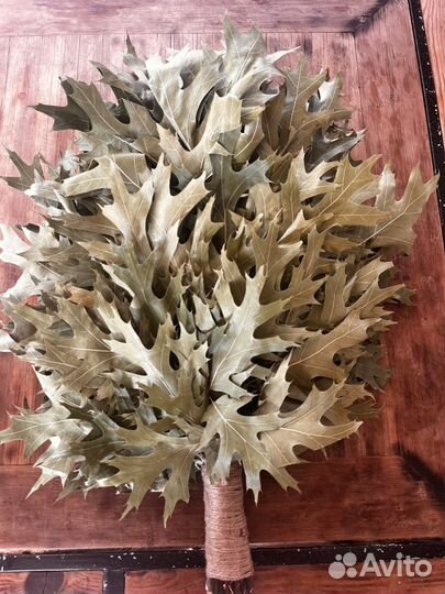 Дубовые веники для бани