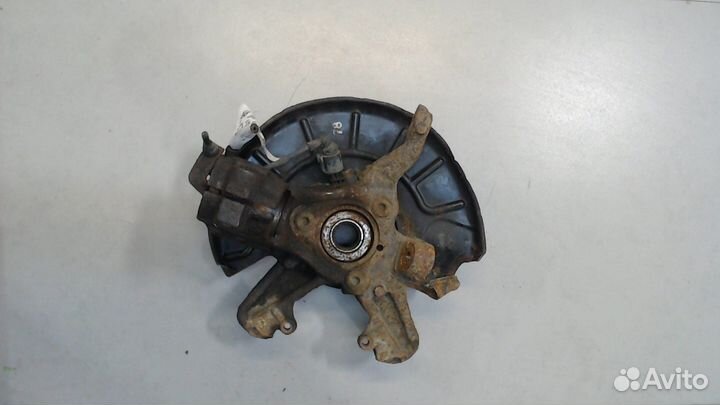 Ступица (кулак, цапфа) Skoda Octavia (A5), 2008