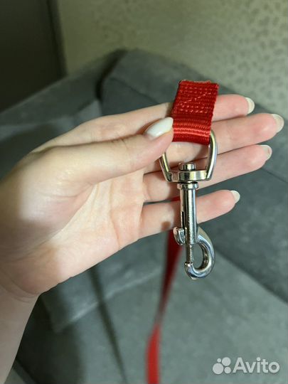 Поводок для собак