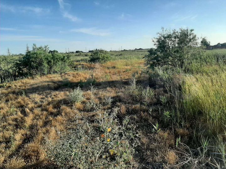 Участок 6 сот. (ИЖС)