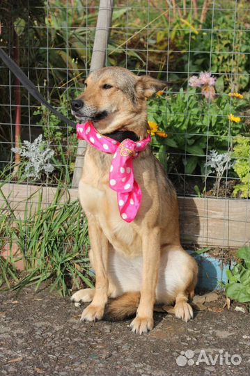 Мечтает о маме