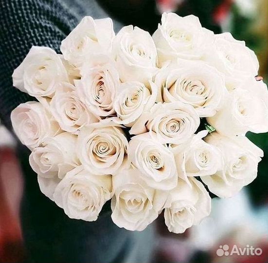 Длинные высокие розы 110 150 160 180 200 см