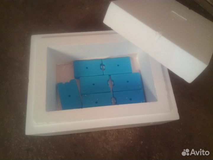 Термоконтейнеры