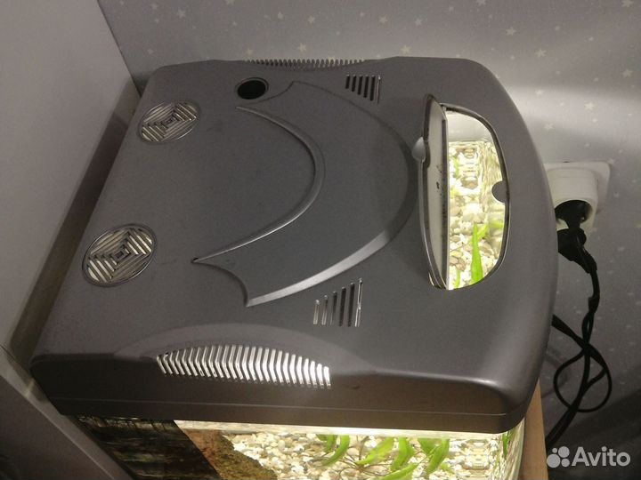 Аквариум с рыбками