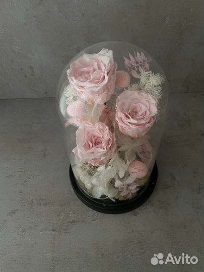 Композиция из стабилизированных цветов в колбе