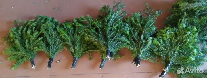 Веники для бани