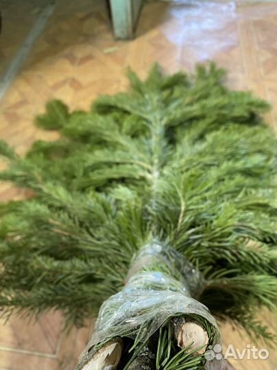 Пихтовые веники, лапник пихтовый, букеты пихтовые