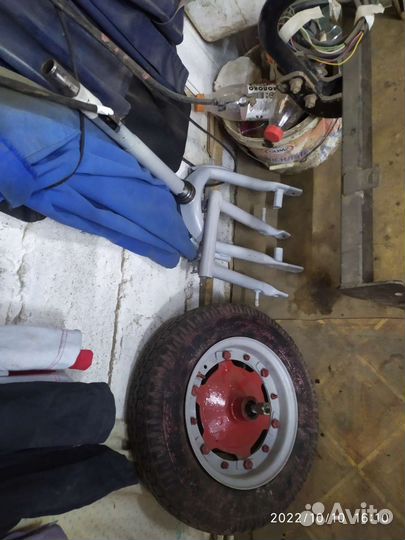 Муравей в разборе