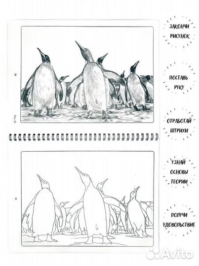 Раскраска антистресс с обучением