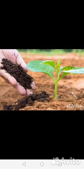 Конский Коровий перегной навоз в мешках