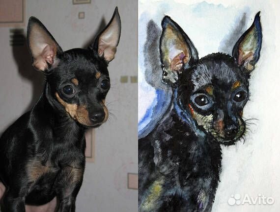 Портрет собаки на заказ по фото акварелью