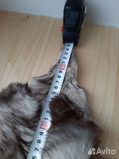 Шкура песца СССР