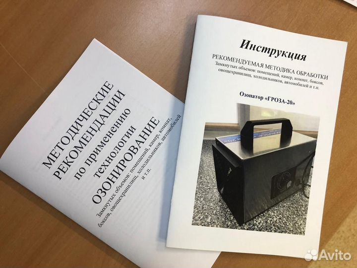 Озонатор воздуха автомобильный Гроза-10