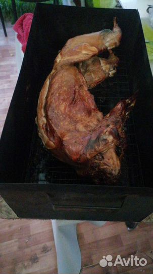 Мясо кролика