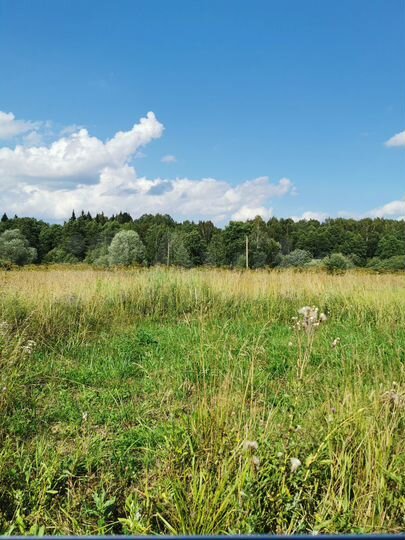 Участок 30 сот. (ИЖС)