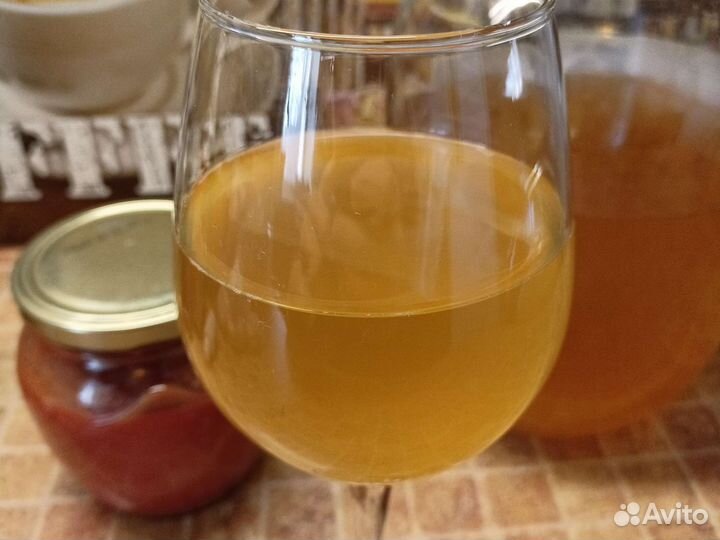 Винный гриб