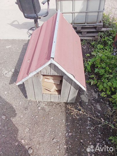 Собачья будка