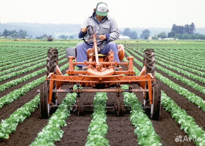 Работник склада. Работа в Европе для граждан снг