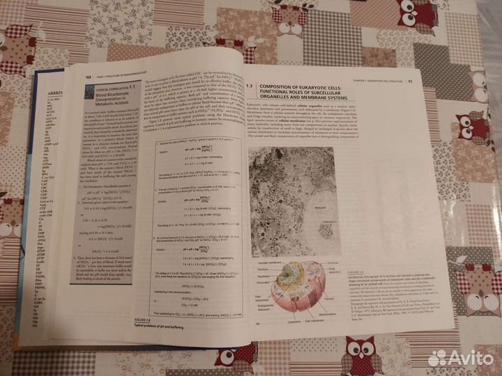 Textbook of Biochemistry with Clinical correlation