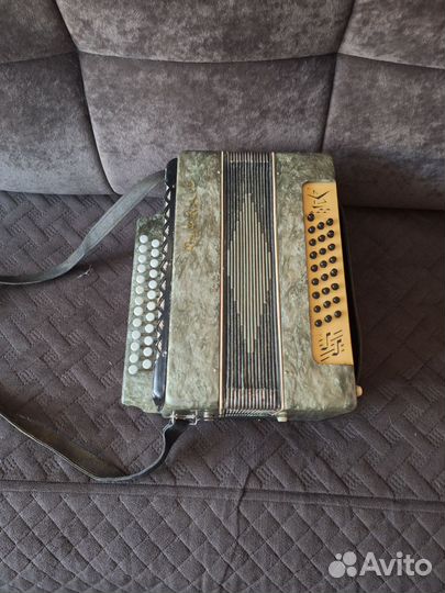 Гармонь шуйская