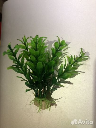 Искусственные растения для аквариума