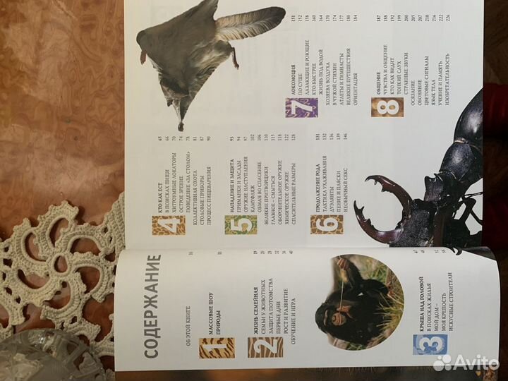 1000 чудес природы