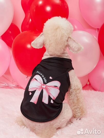 Одежда для маленьких собак Shein