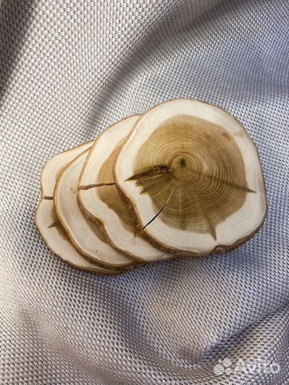 Спилы из можжевельника