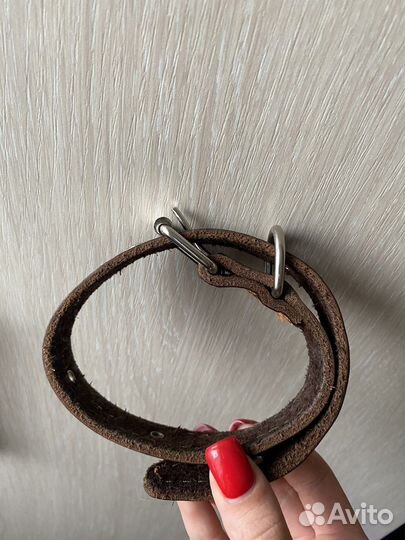 Ошейник для собак