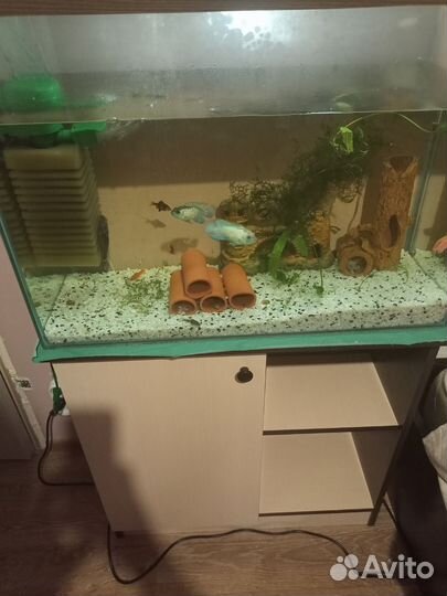 Аквариум с тумбой