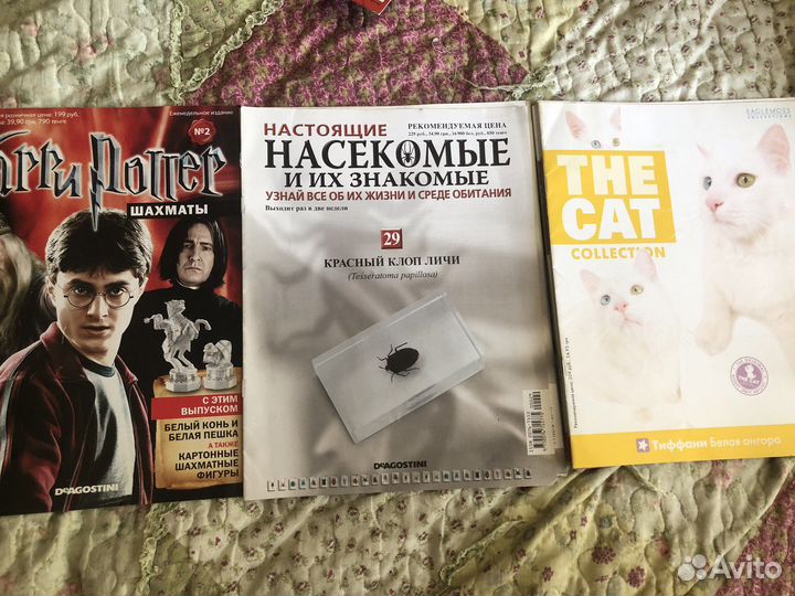 Журнал насекомые