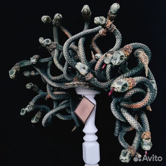 Корона медуза горгона - аренда