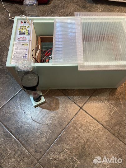 Инкубатор матрица дели