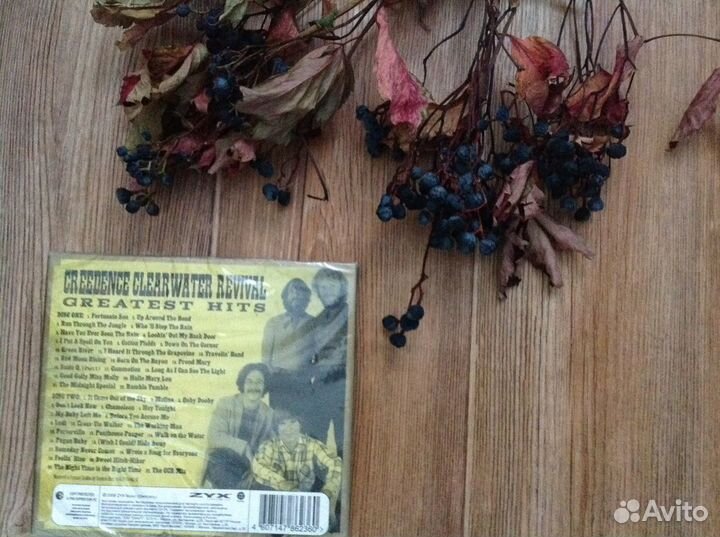 Creedence Clearwater Revival